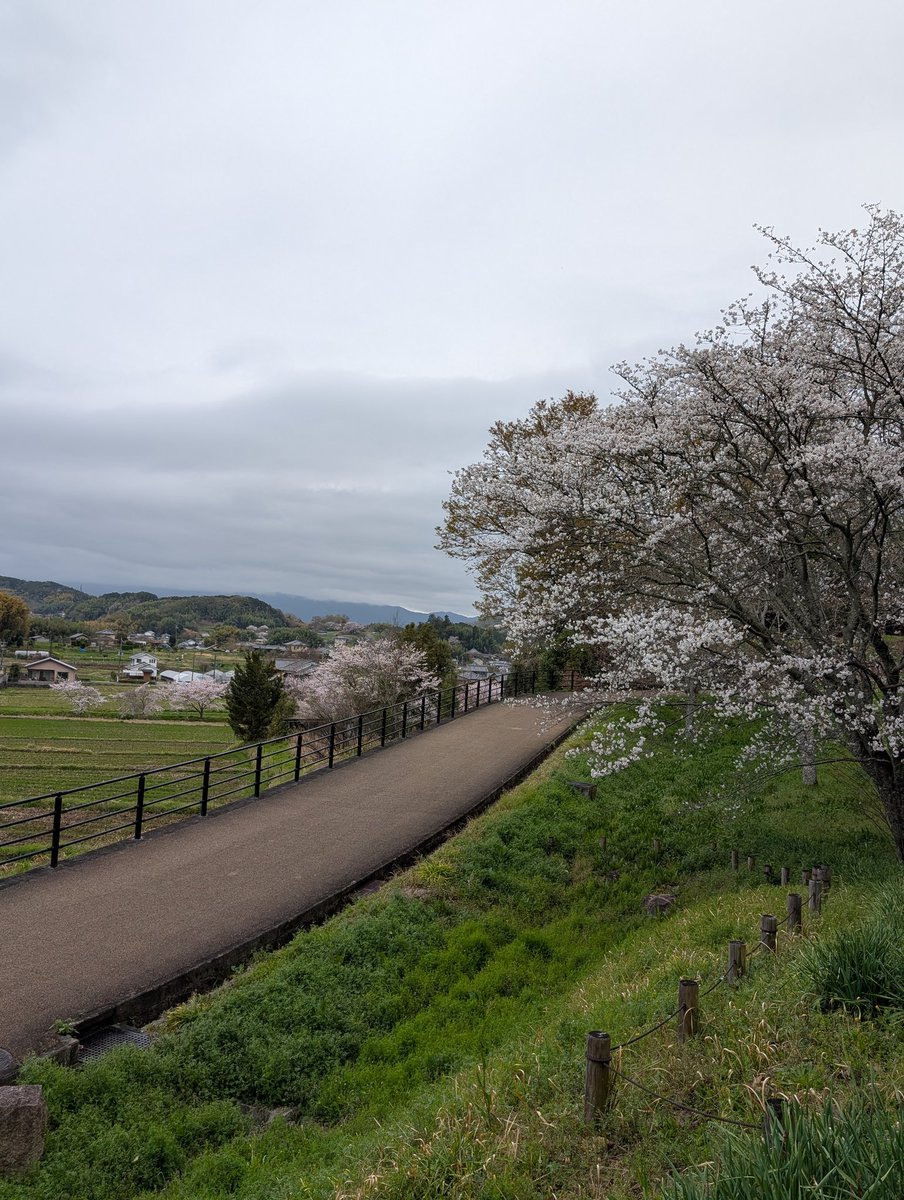 扶余と飛鳥 tweet media