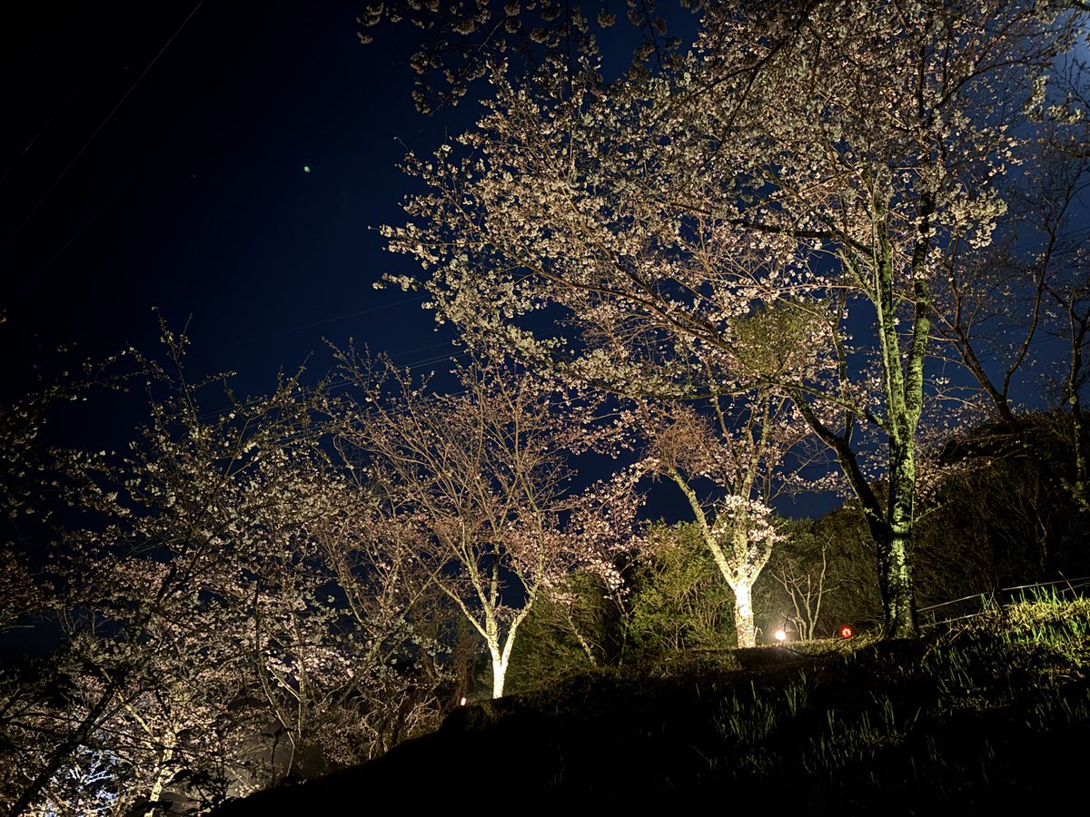 三重県立熊野古道センター tweet media