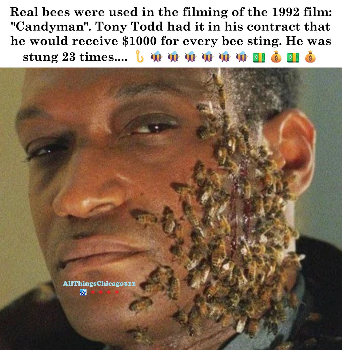 ATChicago312's tweet photo. 🏙️ 🏢🐝🪝 #SayHisName #Candyman #TonyTodd #CabriniGreen #MoviesFilmedInChicago #MoviesSetInChicago #Chicago #Illinois #AllThingsChicago https://t.co/jFjNlKWu8M