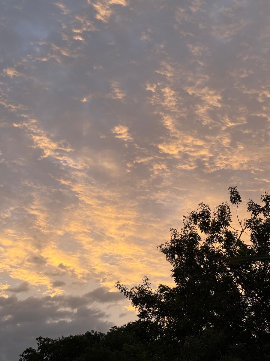 רוני כהן 🙆‍♀️ tweet media