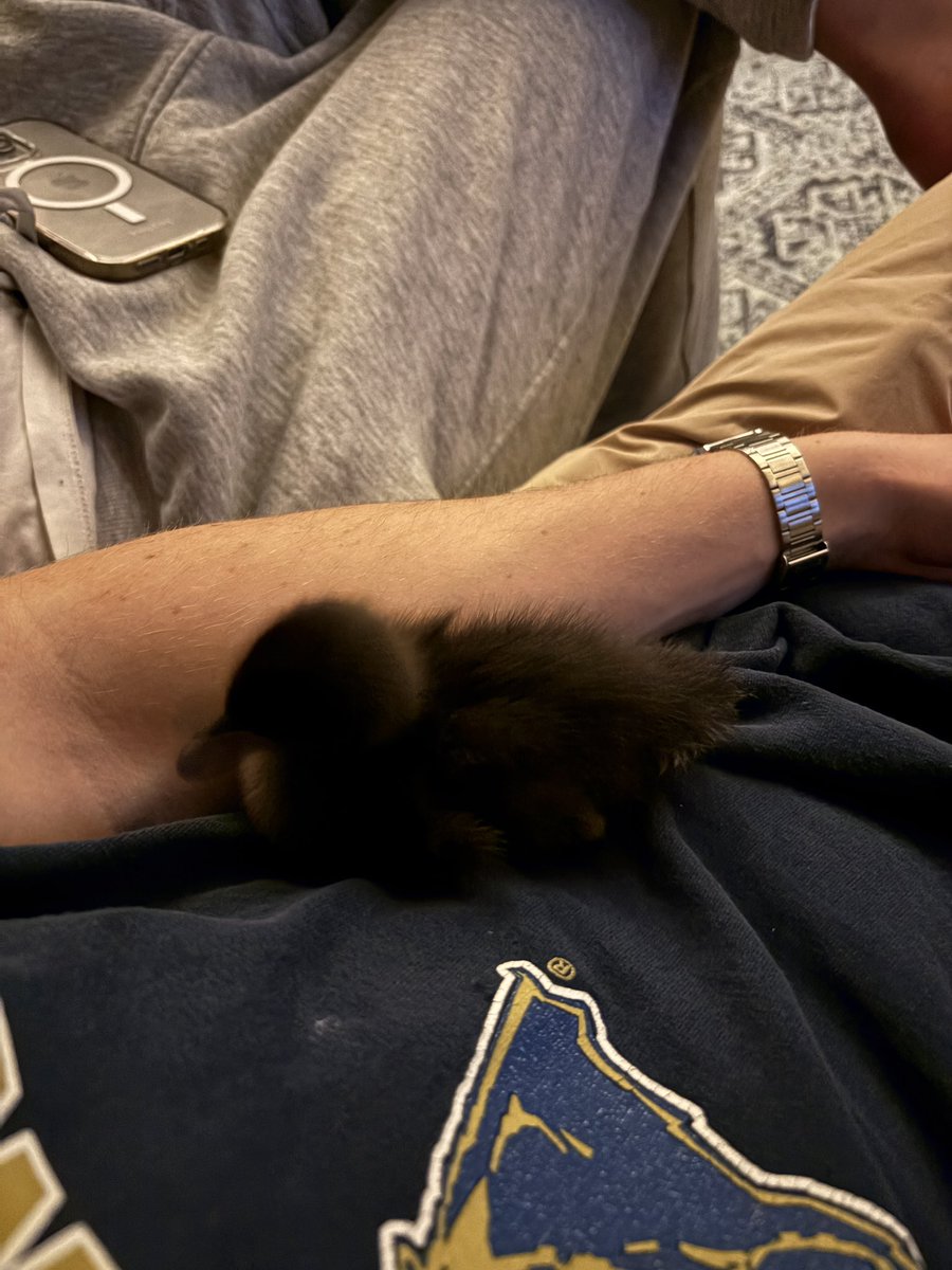 sam “sam” sam tweet media