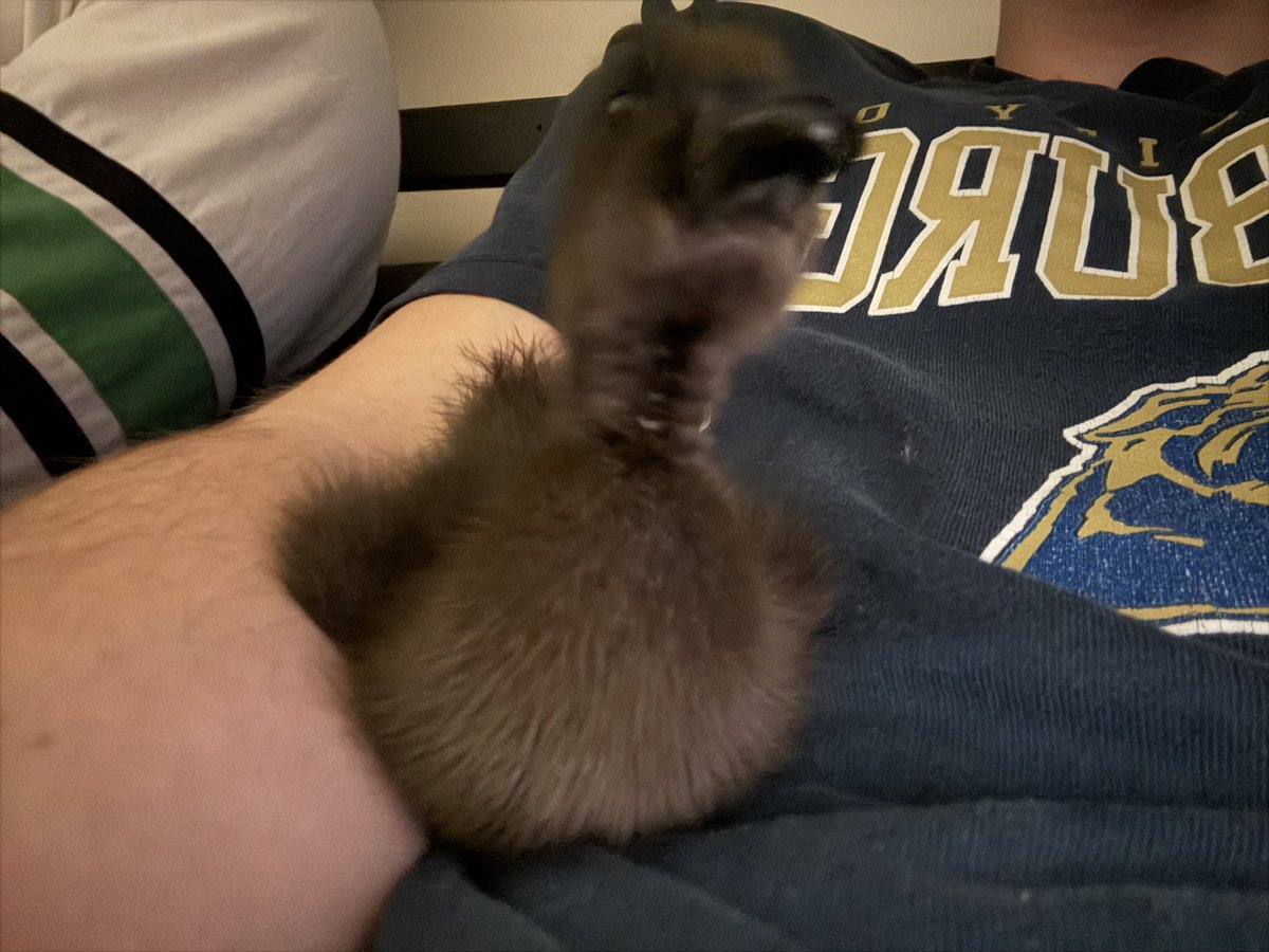 sam “sam” sam tweet media