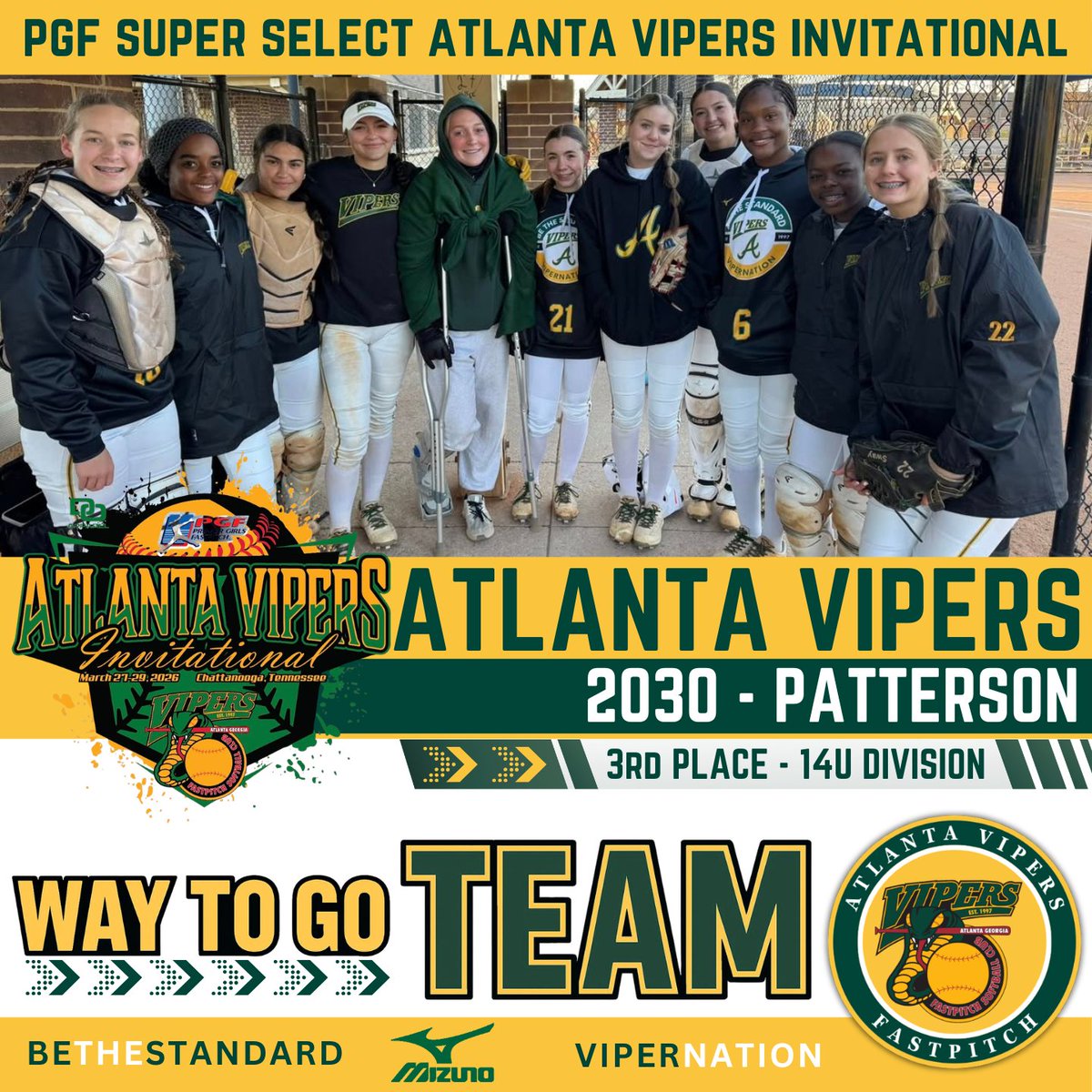 Atlanta Vipers Fastpitch tweet media