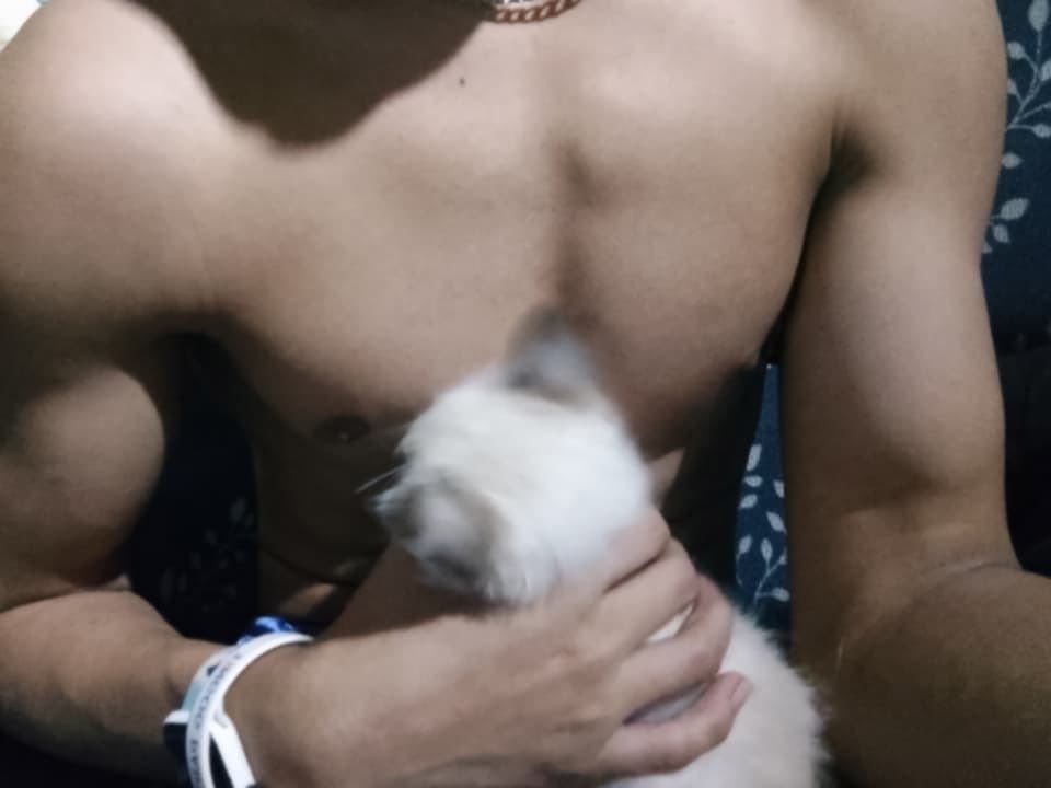 ⚠︎︎-Slow dms tweet media