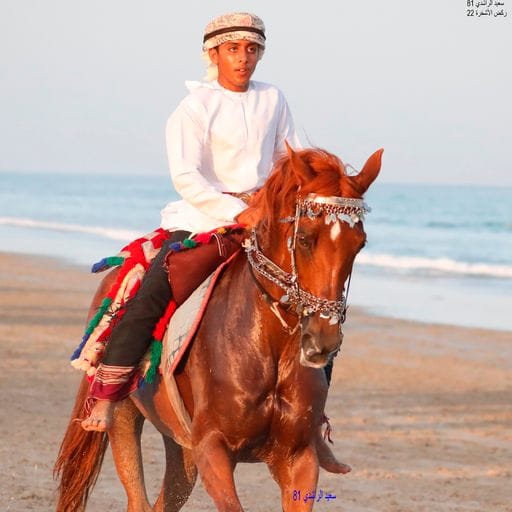 عاشق للسلطنةM tweet media