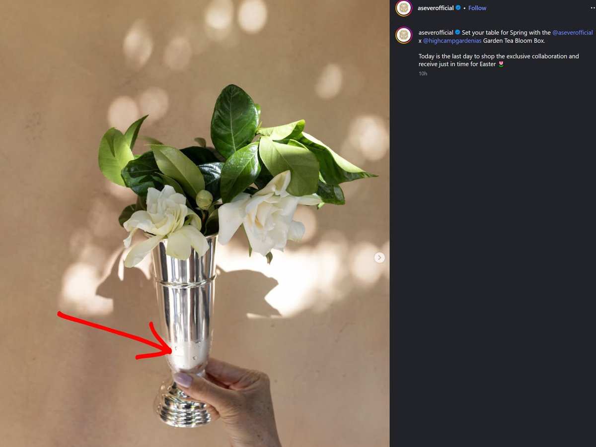 Temu Duchess tweet media