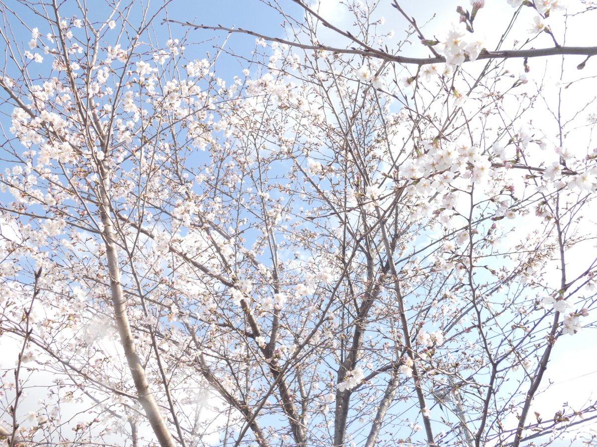 【公式】株式会社アーレスティ tweet media