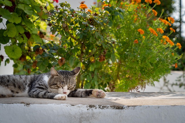 James Stephens tweet media