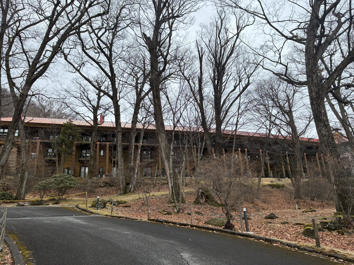 きゅりきゅり tweet media