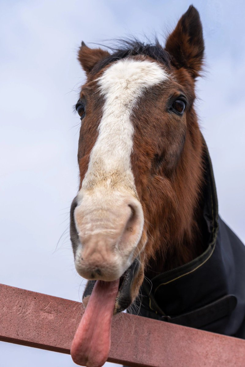 something cool tweet media