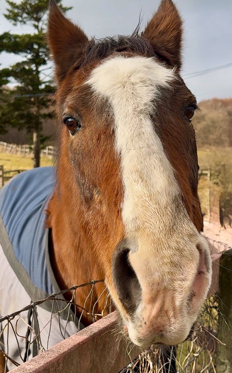 something cool tweet media