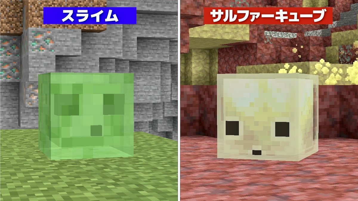 マミムンぶーぶー / HSstudio tweet media