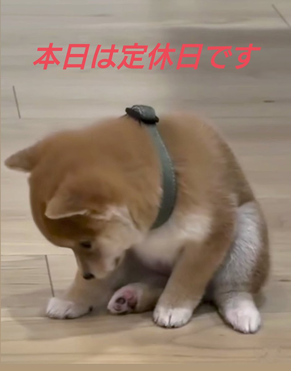 ROUTE373 tweet media