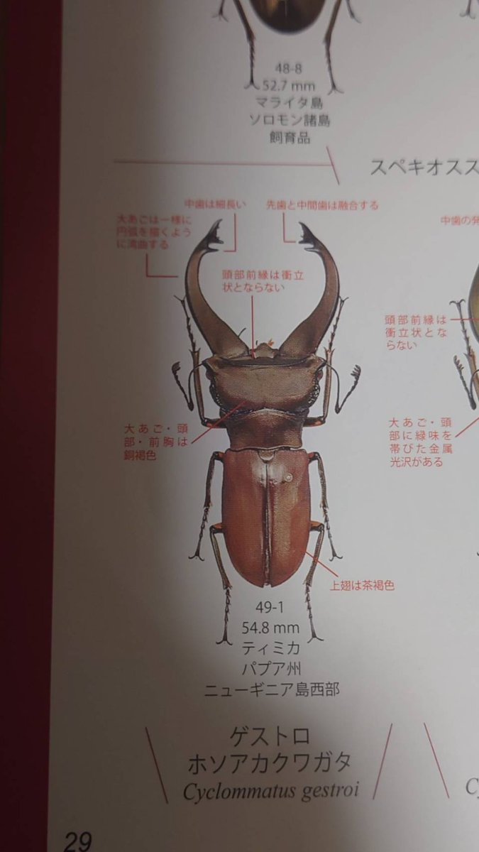 Nobu international co.,ltd tweet media