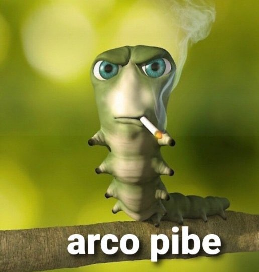 Torque Info tweet media