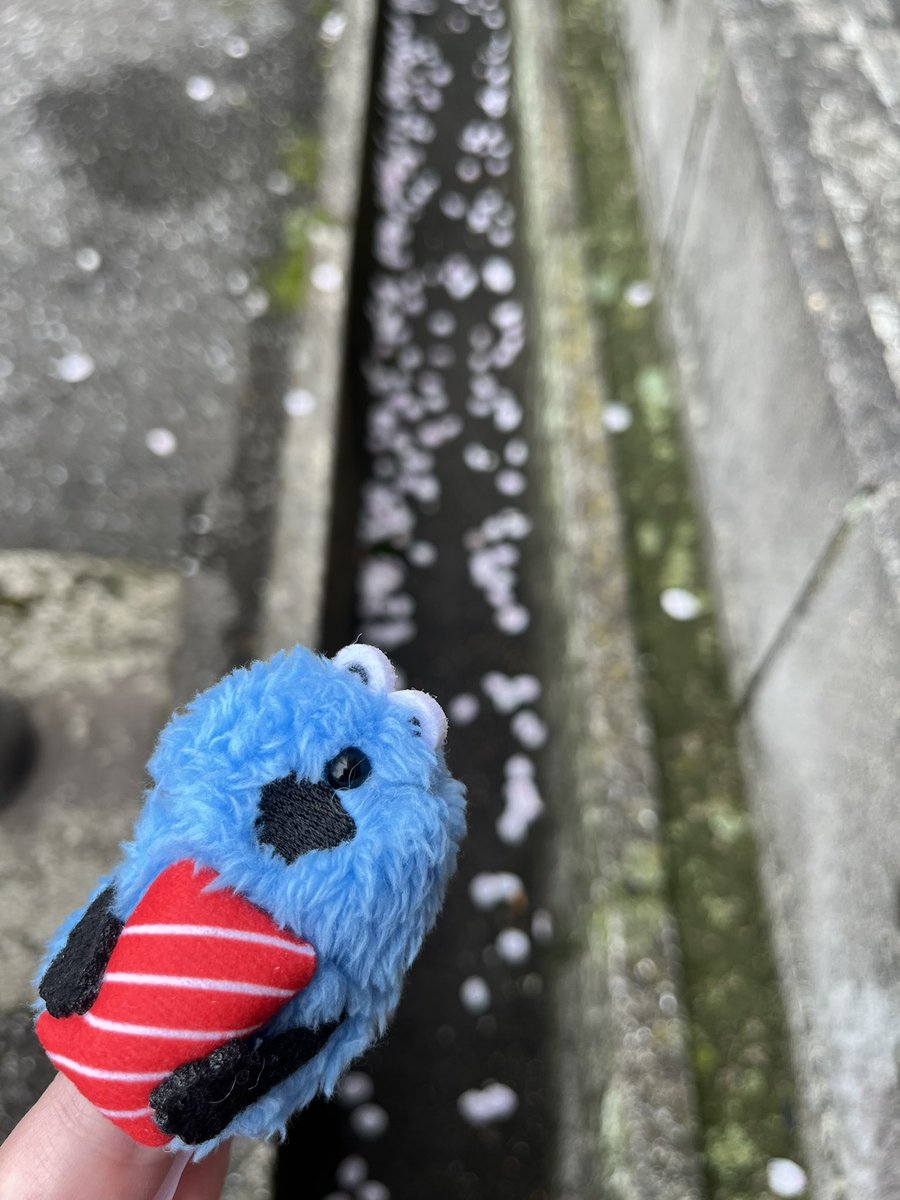 しみ🩶 tweet media