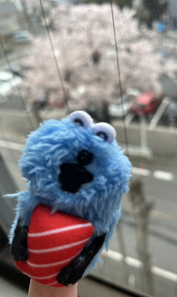 しみ🩶 tweet media