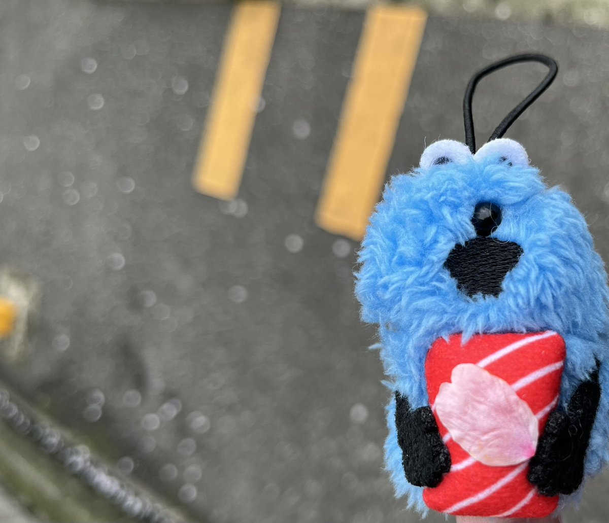 しみ🩶 tweet media