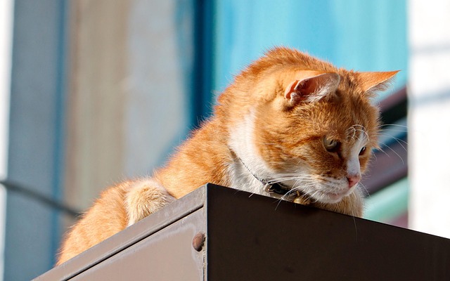 David Larsen tweet media