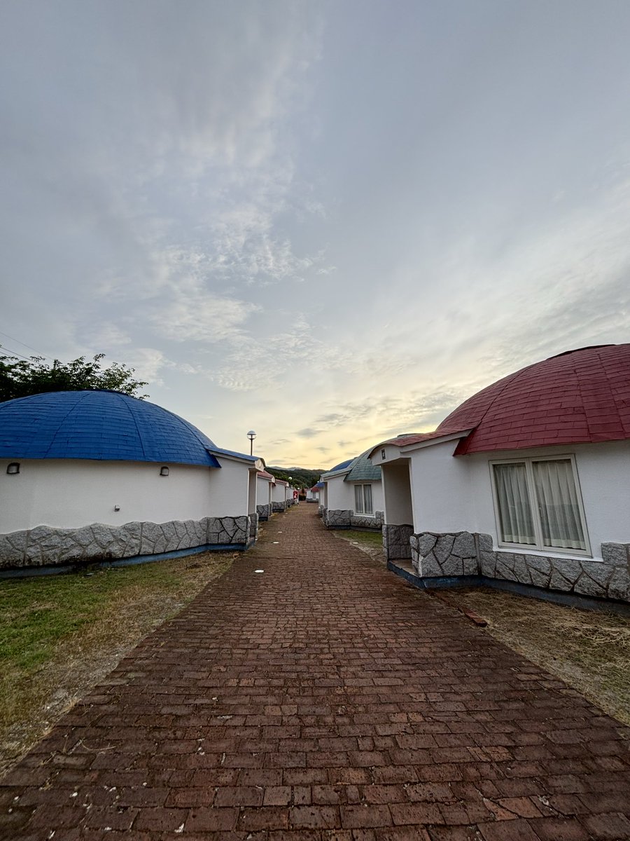 伊豆色 tweet media