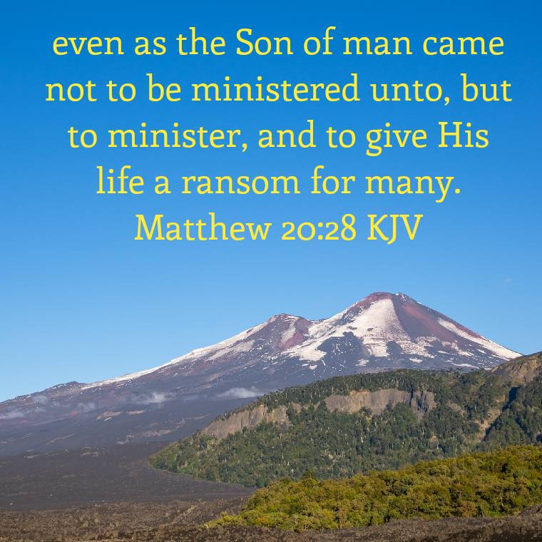 Andrew S. Baker tweet media