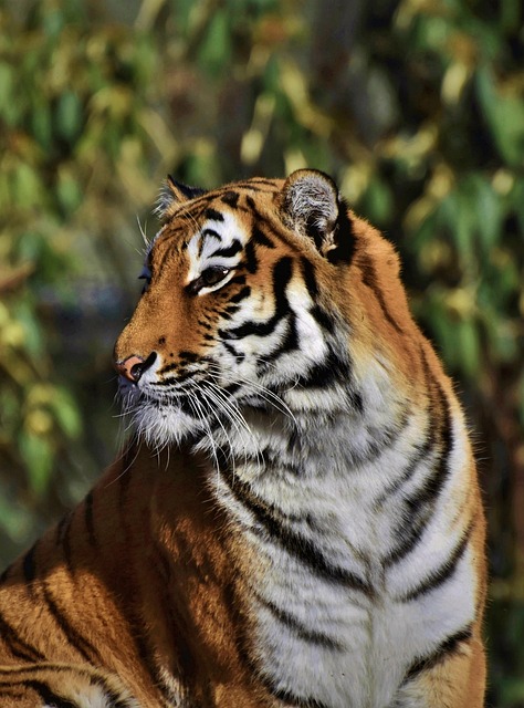 Pamela Sanchez tweet media