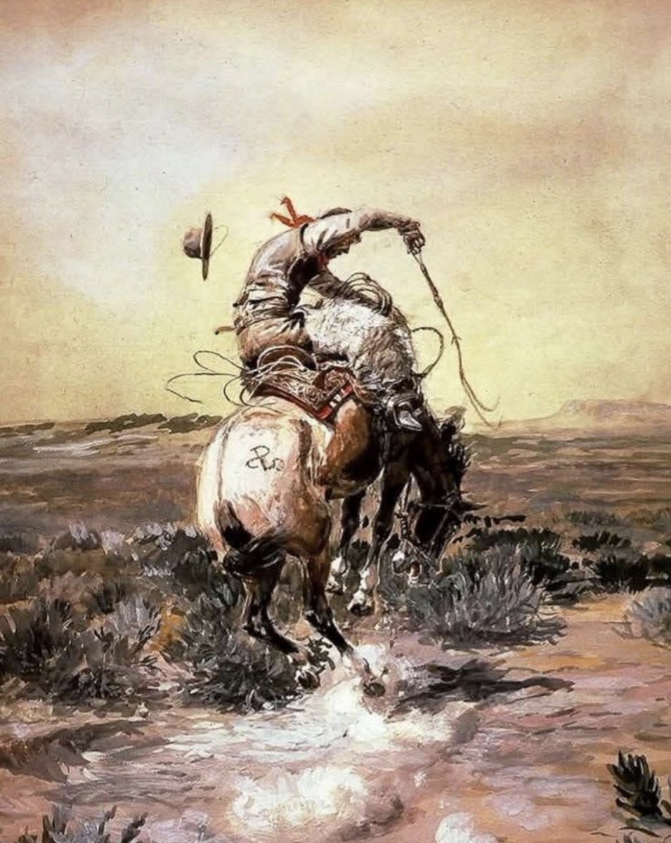 Western Cavalier tweet media