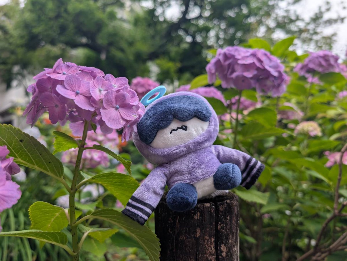 りもも tweet media