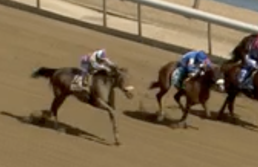 wlodarczyk's tweet photo. @HorseToWatch Gagliano / Racing Colors energy https://t.co/2rHKlSnr6m