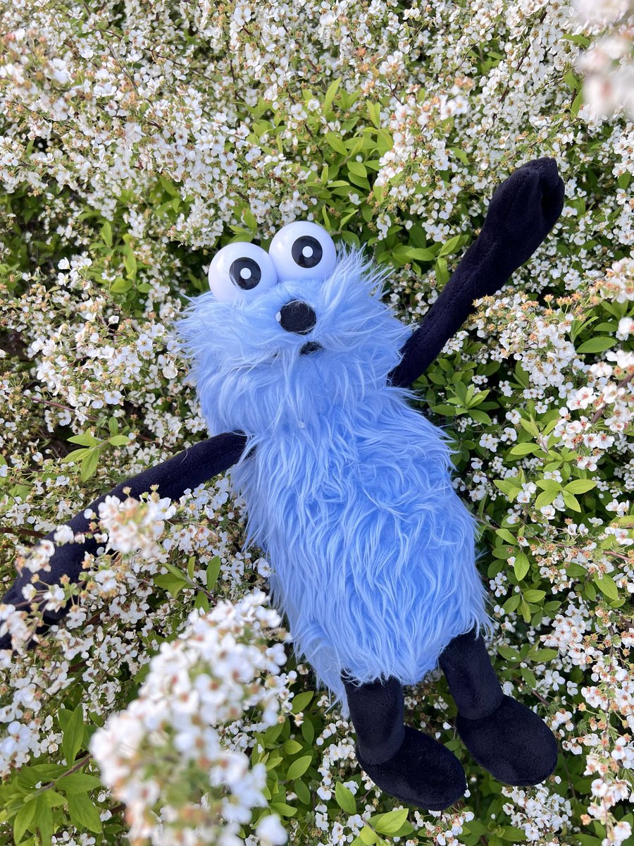 タビすけ。 tweet media