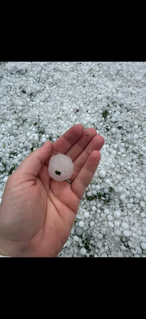 HailTrace tweet media