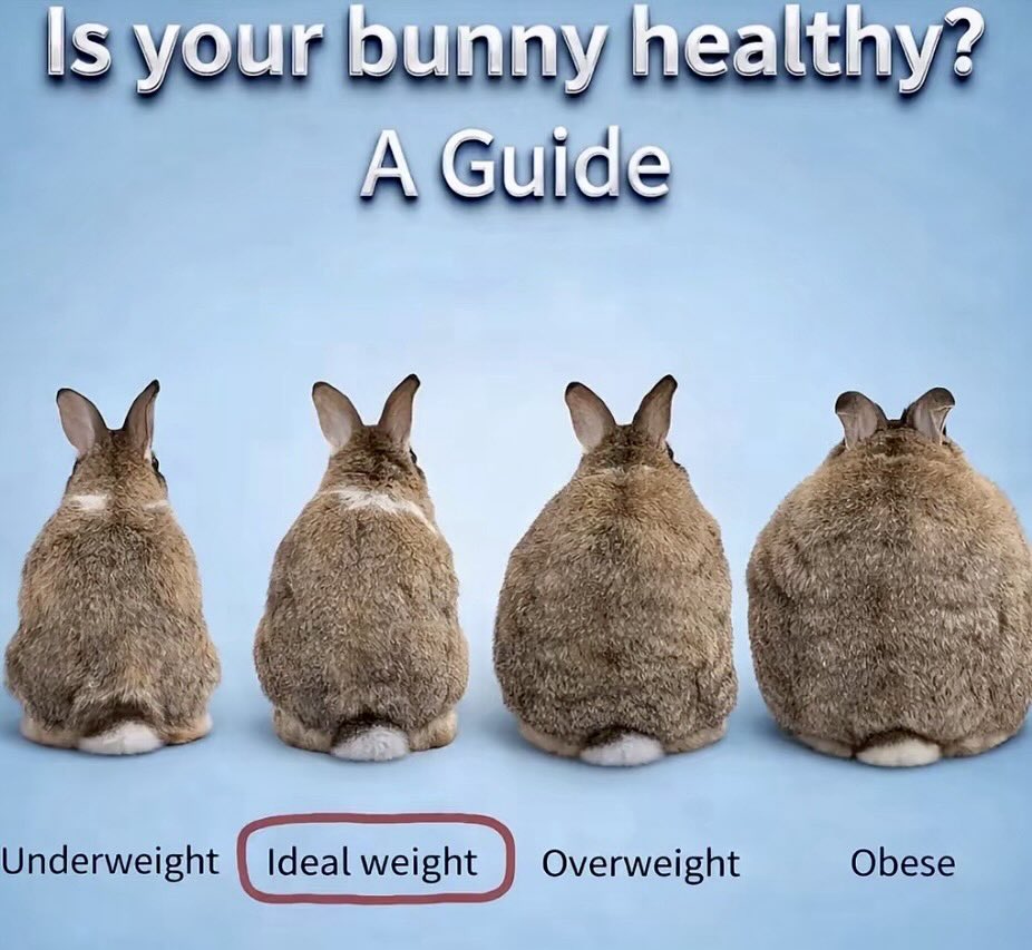 CrabsAreExpensive tweet media