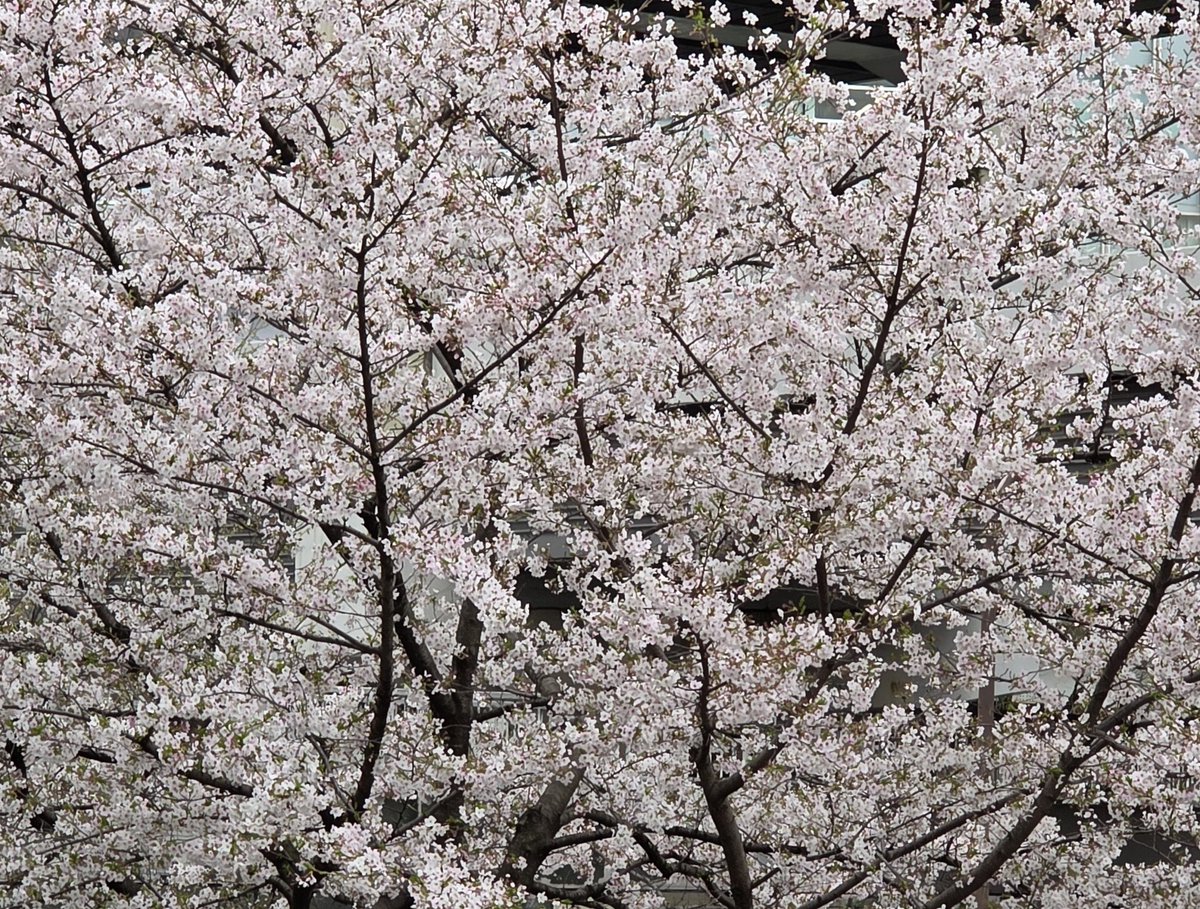 だいや tweet media