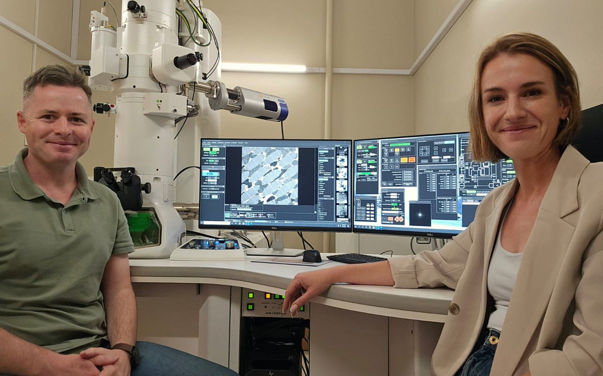 University of Pretoria tweet media