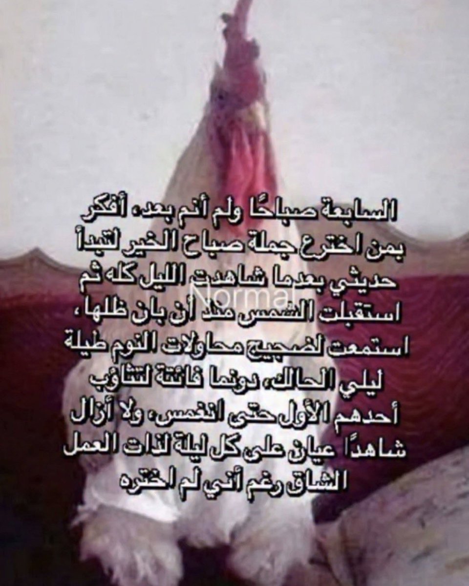 M tweet media