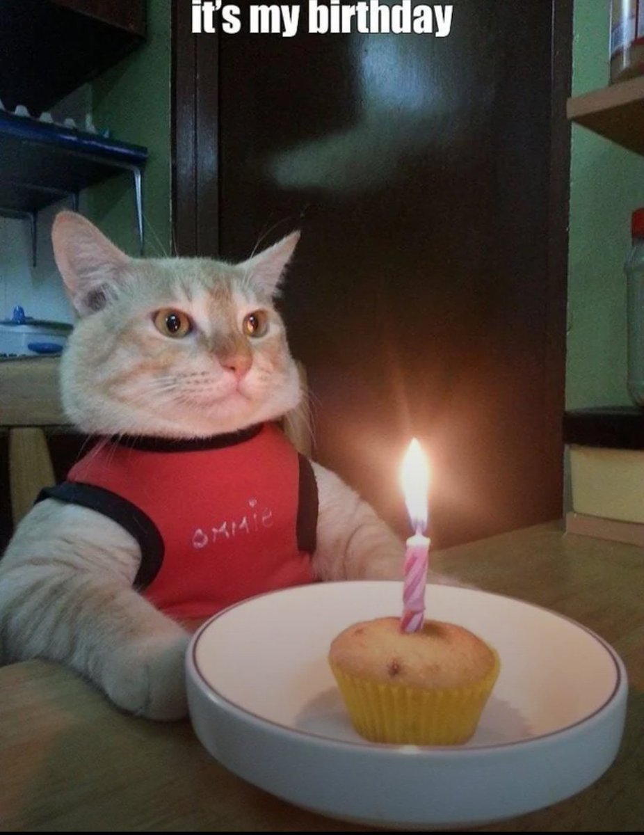 F𐌻✝︎hēr K𐌻büzi 𝙎†𝘿 tweet media