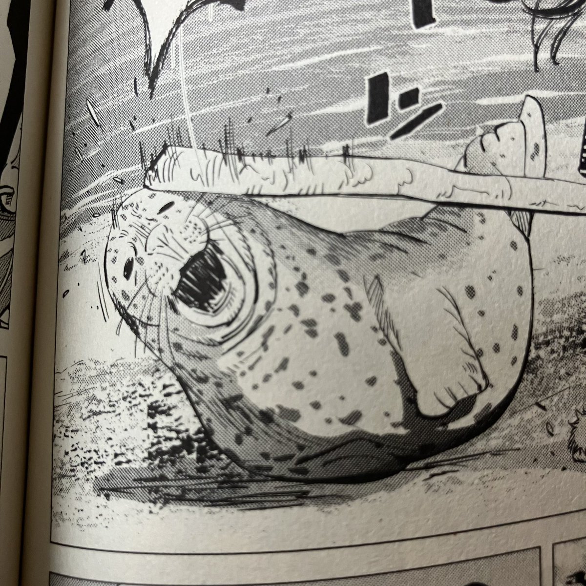 たかえ🦩特許サーチャー＆双極性障害 tweet media