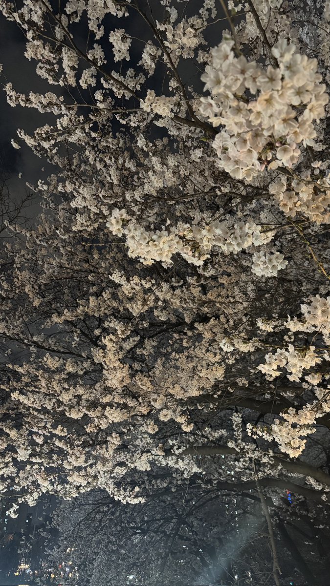 댕그러니 tweet media