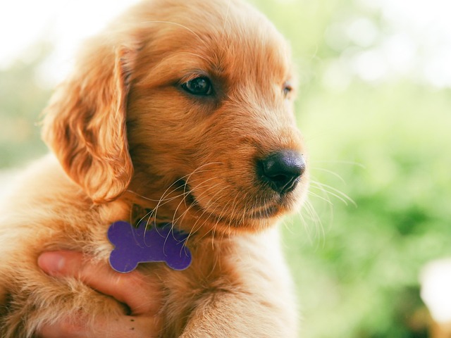 ルーニー＠SKE48推し tweet media