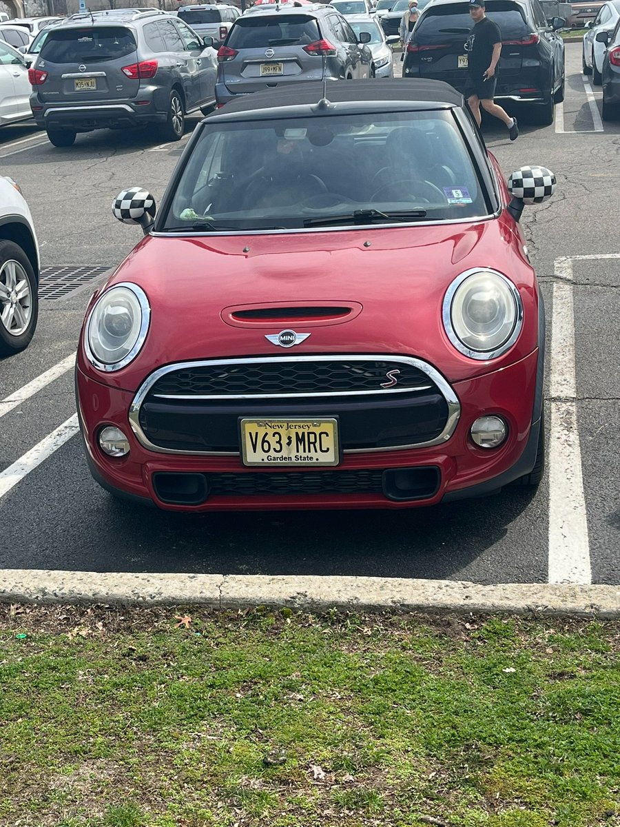 Stray Cat Again tweet media