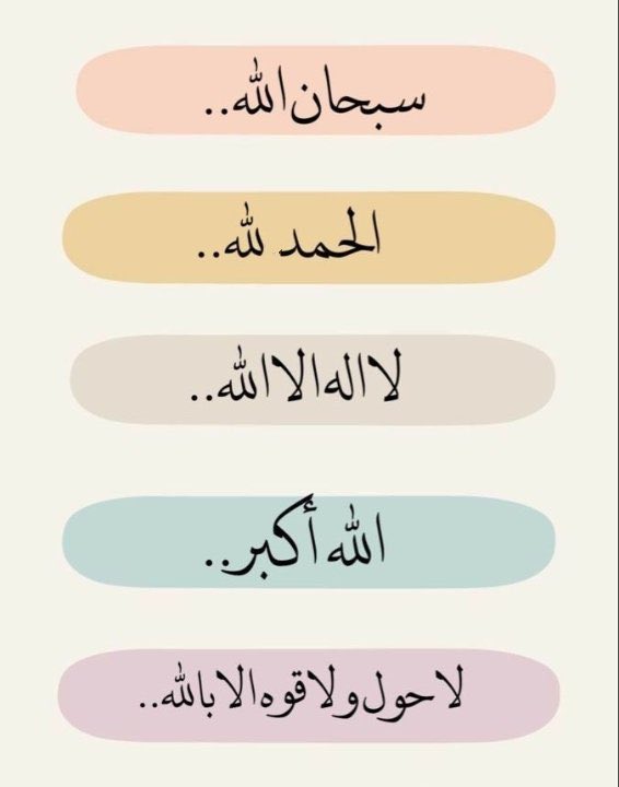 Haleema Abubakar🌹 tweet media