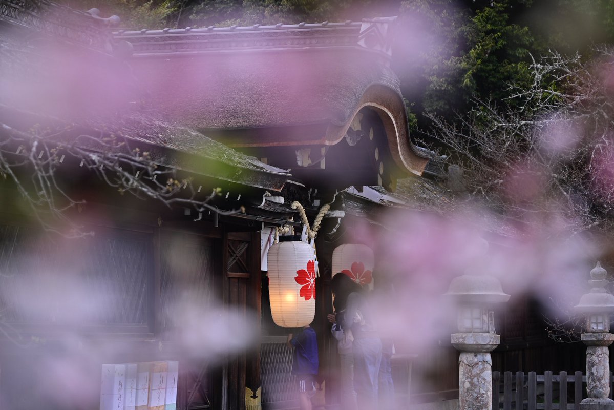 写真日和 tweet media