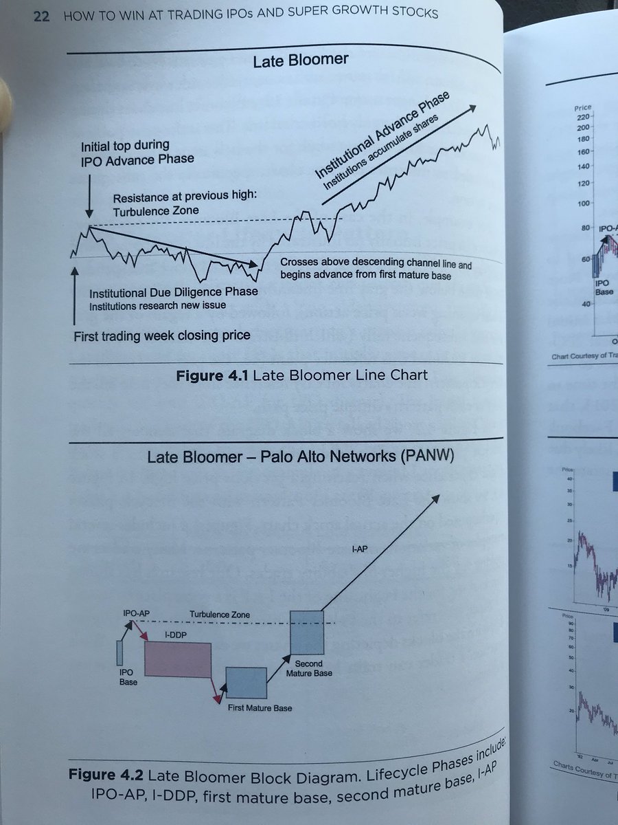 True market Leader tweet media