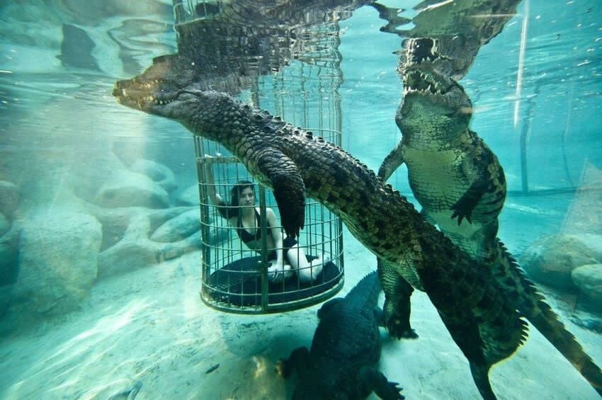 Springboro Ohio Latest News And Information tweet media