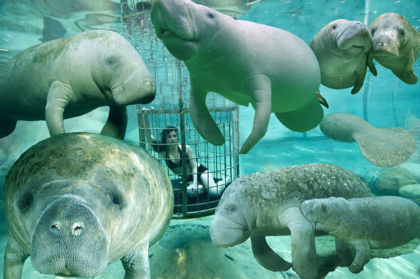 Springboro Ohio Latest News And Information tweet media