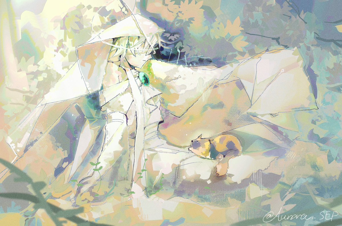 极光Aurora tweet media