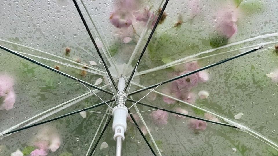 Love | late reply tweet media