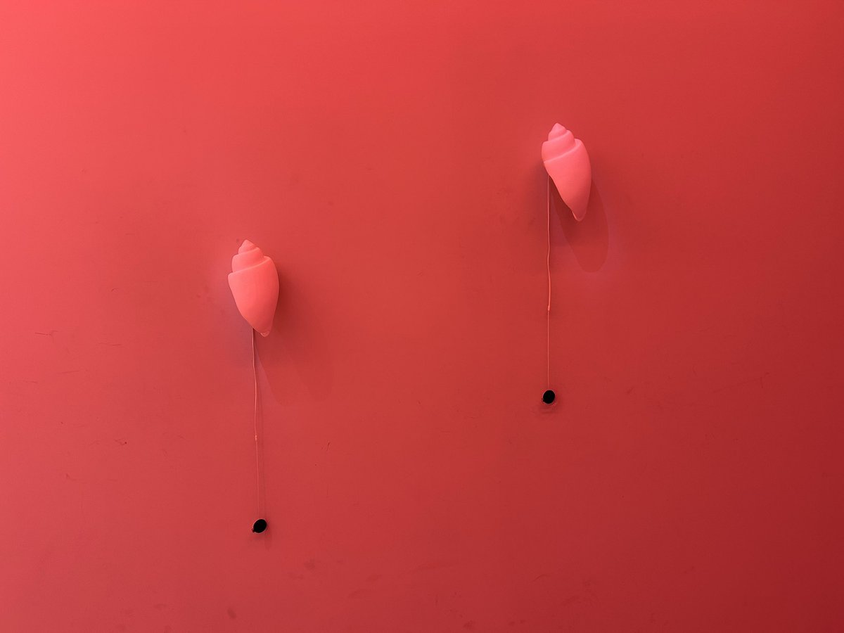 アフガンRAY tweet media