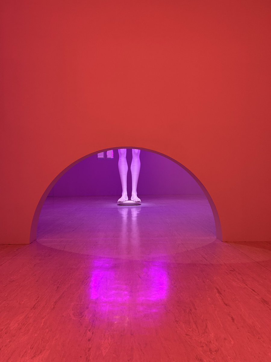 アフガンRAY tweet media