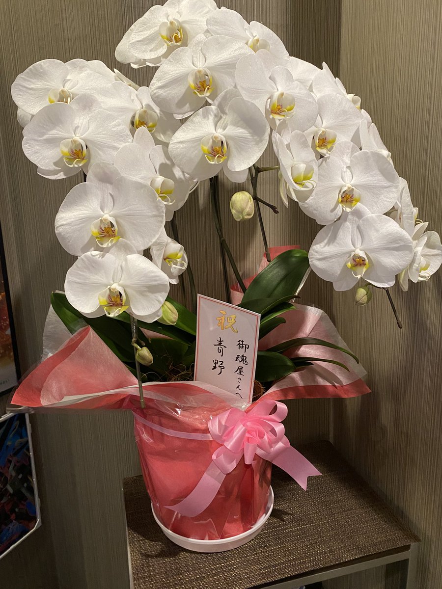 Cafe&Bar 御魂屋（ごこんや） tweet media